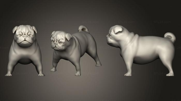 Статуэтки животных (Мопс, STKJ_2414) 3D модель для ЧПУ станка